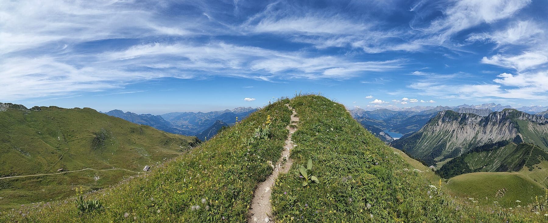 A trail through the Swiss Alps in the summer, in Rochers de Naye.