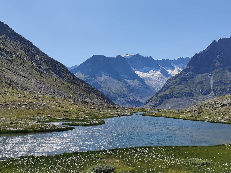 A small lake during the summer next to the Vordersee in the Swiss Alps.