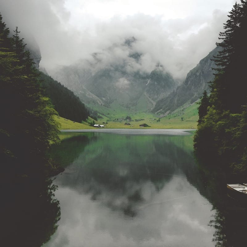 
500px provided description: Seealpsee Views [#landscape ,#lake ,#forest ,#switzerland ,#mountains ,#clouds ,#summer ,#alps ,#adventure ,#hike ,#appenzell ,#seealpsee ,#campvibes]