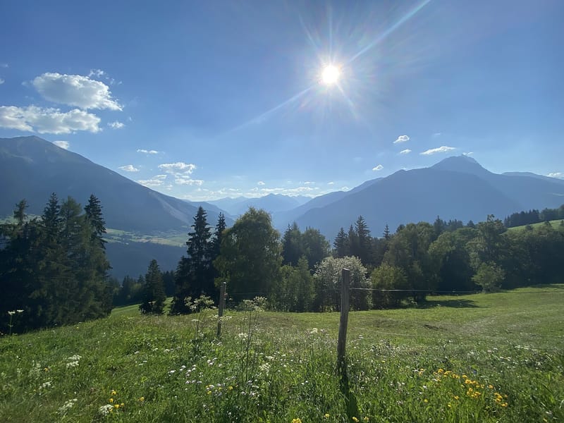 Summer Morning in the Swiss alps - view to the valley of the Albula river. The foto was taken between Mon and Stierva (GR) in Switzerland